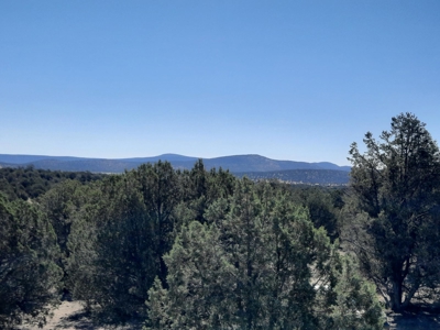 TURN KEY Northern AZ off Grid Cabin - image 24