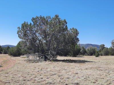 TURN KEY Northern AZ off Grid Cabin - image 28