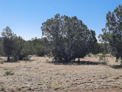TURN KEY Northern AZ off Grid Cabin - image 27