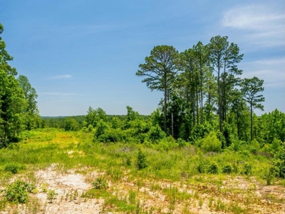 Lake Property For Sale Calhoun County MS - image 37