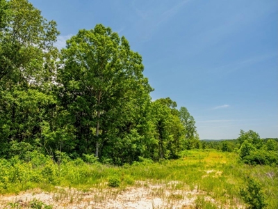 Lake Property For Sale Calhoun County MS - image 38