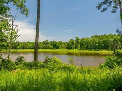Lake Property For Sale Calhoun County MS - image 27