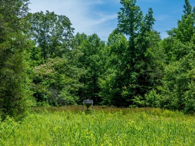 Lake Property For Sale Calhoun County MS - image 20