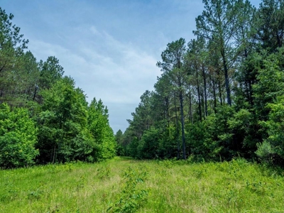 Lake Property For Sale Calhoun County MS - image 15