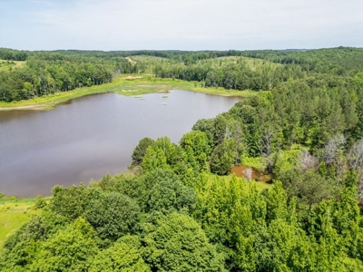 Lake Property For Sale Calhoun County MS - image 3