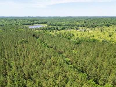 Lake Property For Sale Calhoun County MS - image 12
