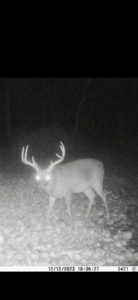 Lake Property For Sale Calhoun County MS - image 10