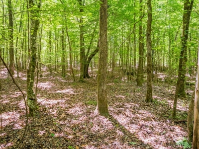Lake Property For Sale Calhoun County MS - image 17