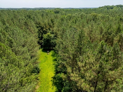 Lake Property For Sale Calhoun County MS - image 16