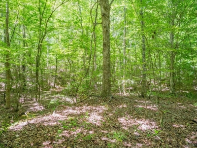 Lake Property For Sale Calhoun County MS - image 18