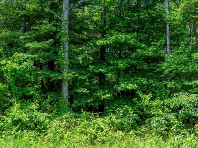 Lake Property For Sale Calhoun County MS - image 21