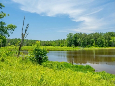 Lake Property For Sale Calhoun County MS - image 26