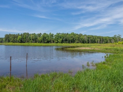 Lake Property For Sale Calhoun County MS - image 23