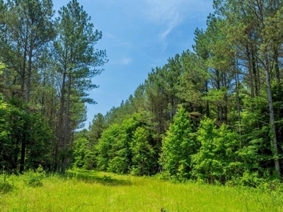 Lake Property For Sale Calhoun County MS - image 14