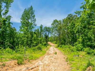 Lake Property For Sale Calhoun County MS - image 34