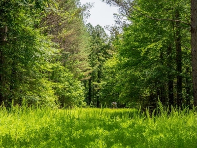 Lake Property For Sale Calhoun County MS - image 19