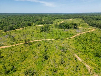 Lake Property For Sale Calhoun County MS - image 33