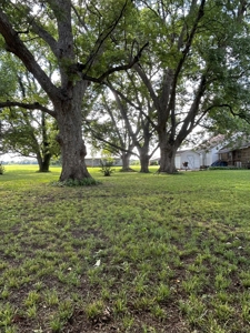 Country Home For Sale in Jackson County, Arkansas - image 5