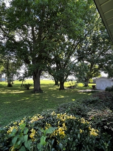 Country Home For Sale in Jackson County, Arkansas - image 17