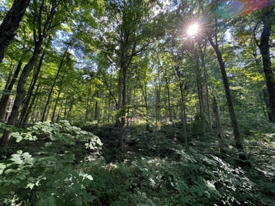Bloomington Indiana Land for Sale | Farming | Recreactional - image 29