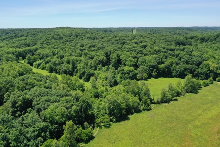 Bloomington Indiana Land for Sale | Farming | Recreactional - image 4
