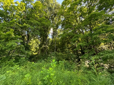 Bloomington Indiana Land for Sale | Farming | Recreactional - image 27