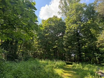 Bloomington Indiana Land for Sale | Farming | Recreactional - image 18