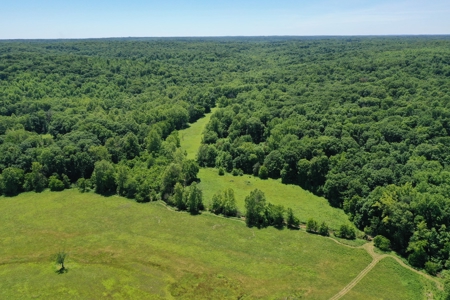 Bloomington Indiana Land for Sale | Farming | Recreactional - image 3