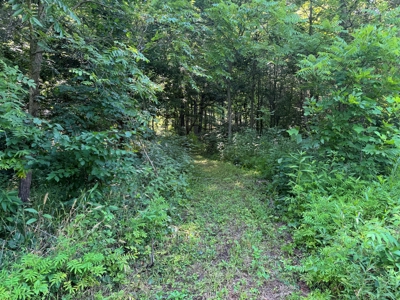 Bloomington Indiana Land for Sale | Farming | Recreactional - image 25