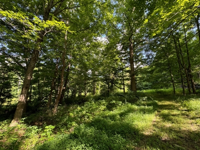 Bloomington Indiana Land for Sale | Farming | Recreactional - image 32