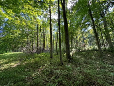 Bloomington Indiana Land for Sale | Farming | Recreactional - image 31