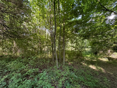 Bloomington Indiana Land for Sale | Farming | Recreactional - image 19