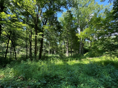 Bloomington Indiana Land for Sale | Farming | Recreactional - image 23