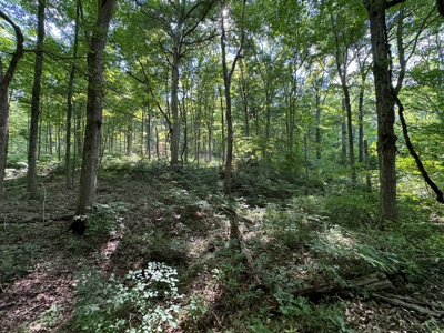 Bloomington Indiana Land for Sale | Farming | Recreactional - image 30