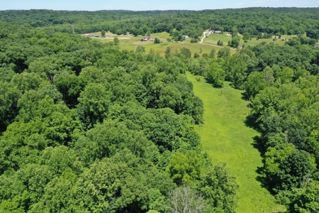Bloomington Indiana Land for Sale | Farming | Recreactional - image 6