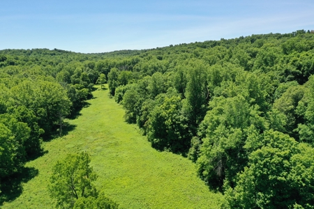 Bloomington Indiana Land for Sale | Farming | Recreactional - image 11