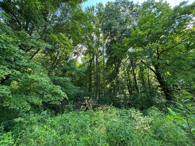 Bloomington Indiana Land for Sale | Farming | Recreactional - image 28