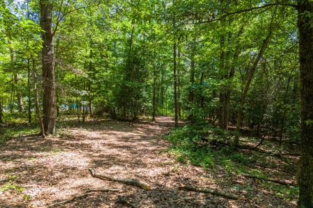 Beautiful 1.5 acre lot on Lake Hartwell with covered dock - image 10
