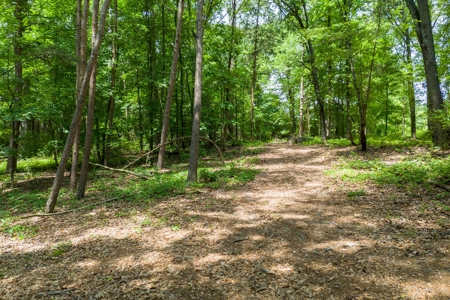 Beautiful 1.5 acre lot on Lake Hartwell with covered dock - image 24