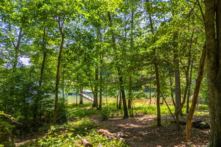 Beautiful 1.5 acre lot on Lake Hartwell with covered dock - image 13