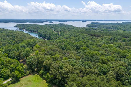 Beautiful 1.5 acre lot on Lake Hartwell with covered dock - image 21
