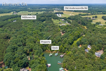 Beautiful 1.5 acre lot on Lake Hartwell with covered dock - image 6