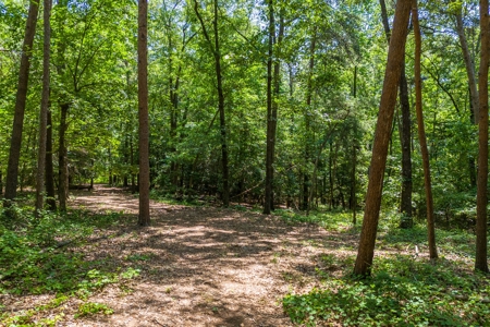 Beautiful 1.5 acre lot on Lake Hartwell with covered dock - image 9