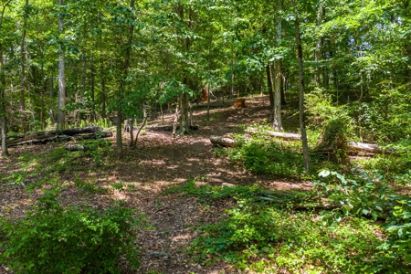 Beautiful 1.5 acre lot on Lake Hartwell with covered dock - image 23