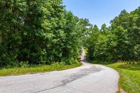 Beautiful 1.5 acre lot on Lake Hartwell with covered dock - image 25