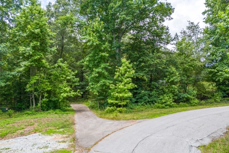 Beautiful 1.5 acre lot on Lake Hartwell with covered dock - image 27