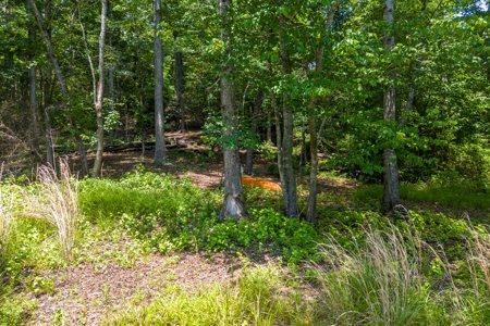 Beautiful 1.5 acre lot on Lake Hartwell with covered dock - image 22