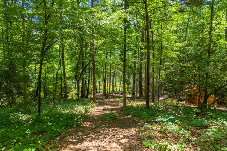 Beautiful 1.5 acre lot on Lake Hartwell with covered dock - image 12