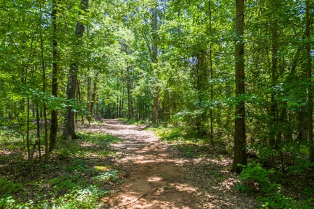 Beautiful 1.5 acre lot on Lake Hartwell with covered dock - image 8