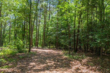 Beautiful 1.5 acre lot on Lake Hartwell with covered dock - image 11